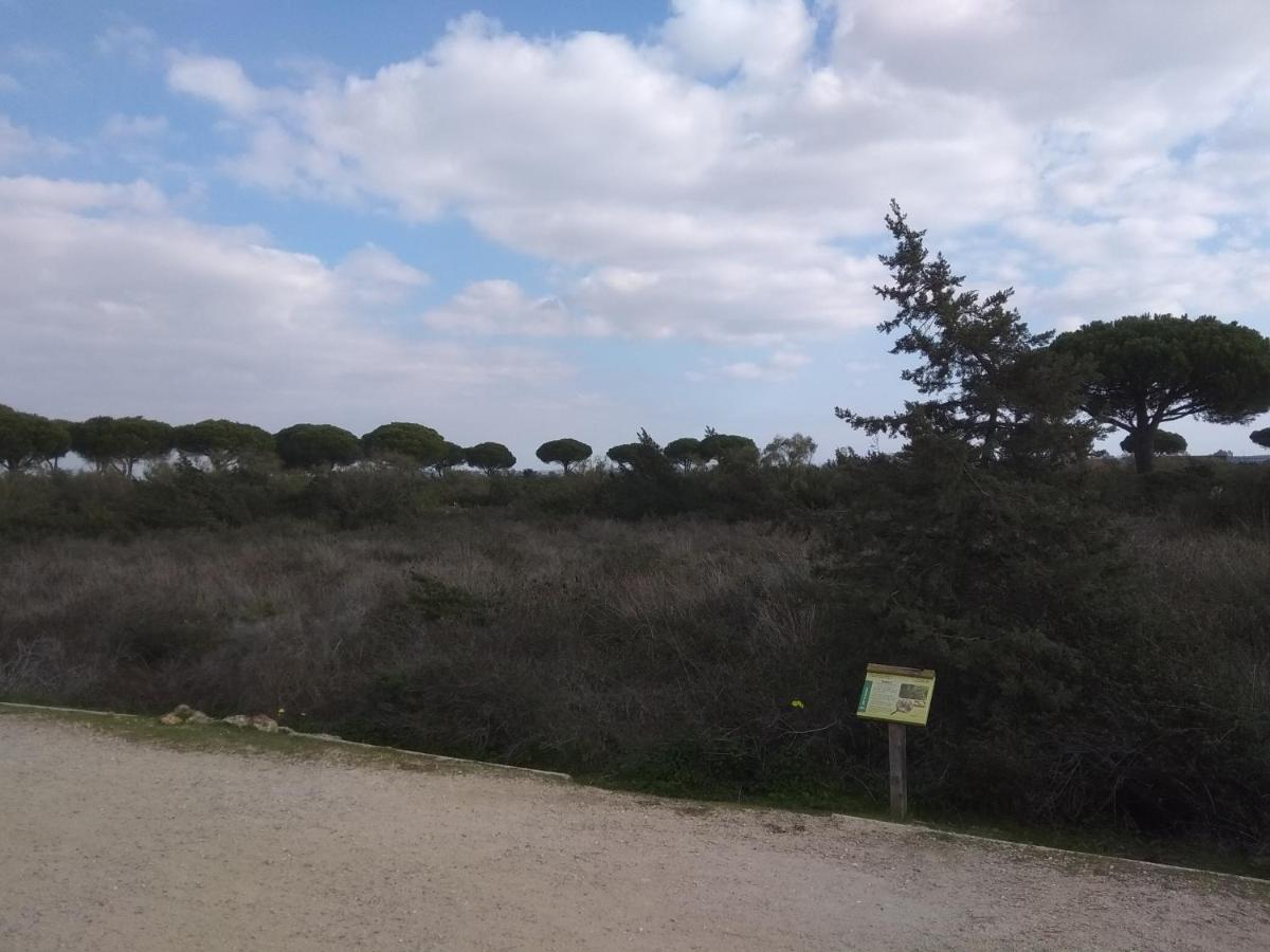 Tu Denscanso En Valdelagrana Frente Al Mar El Puerto de Santa María Kültér fotó